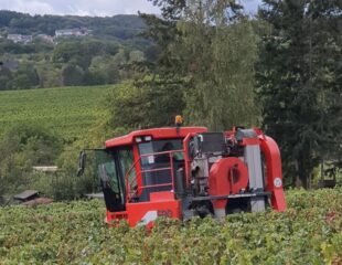 Bleiben Sie in Kontakt mit Ihren Besuchern