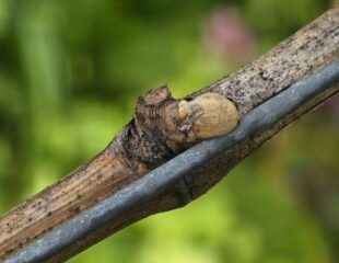 Inhalte von Blog-Artikeln